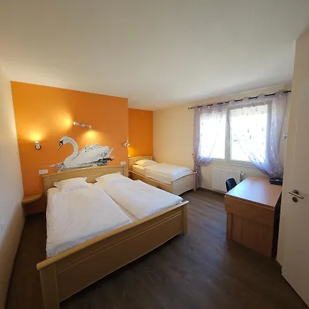 Restaurant Champ Alsace Hotel Haguenau